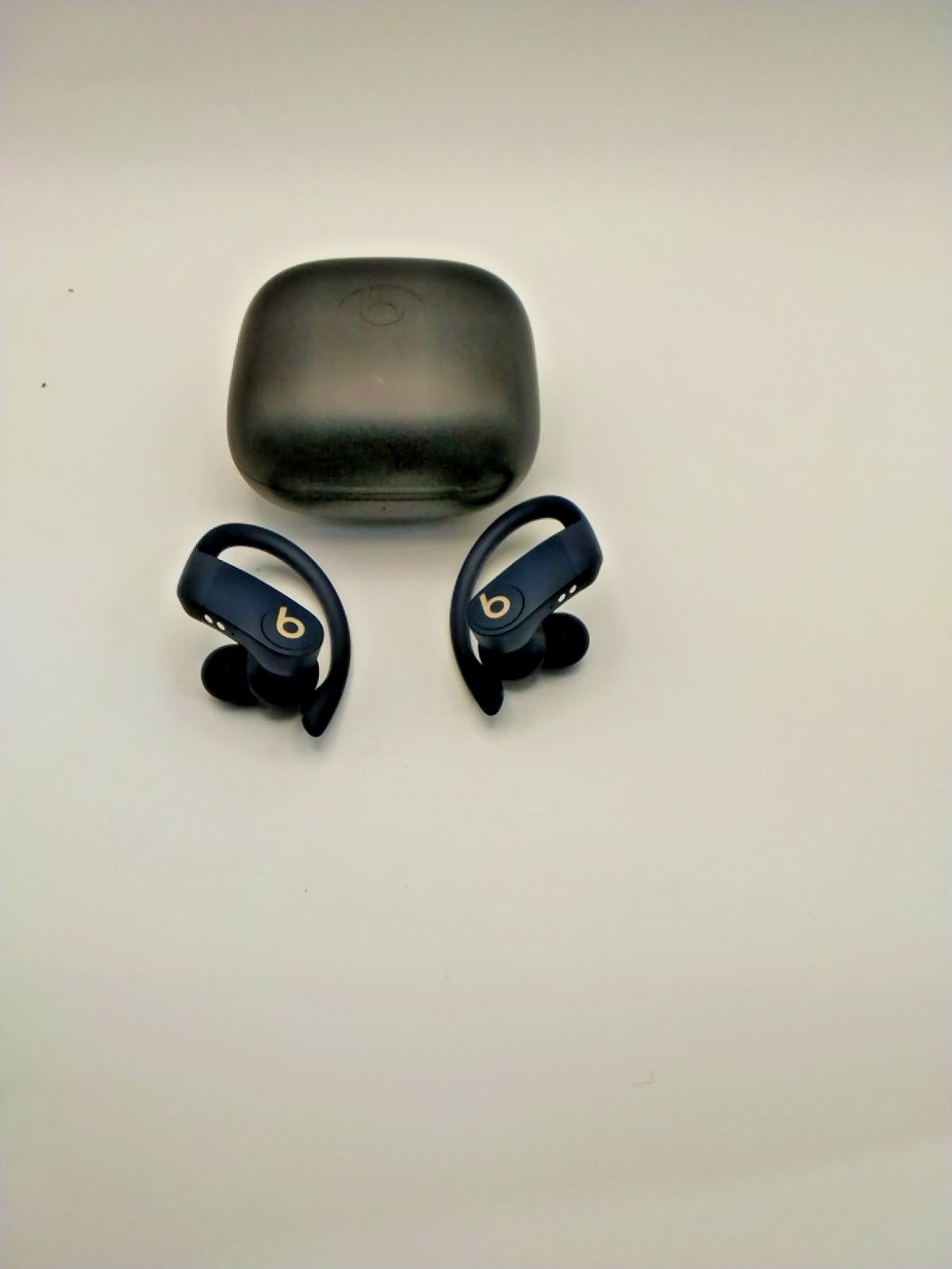 Beats by Dr. Dre Powerbeats Pro Wireless Earphones - Navy